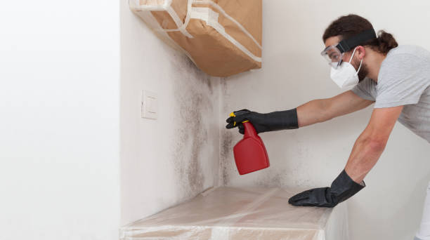 Professional Attic Mold Remediation technician working in Princeton, IL